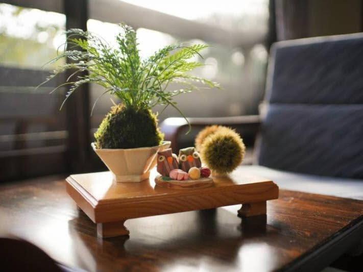 Ryokan Misato Minamioguni Exteriér fotografie