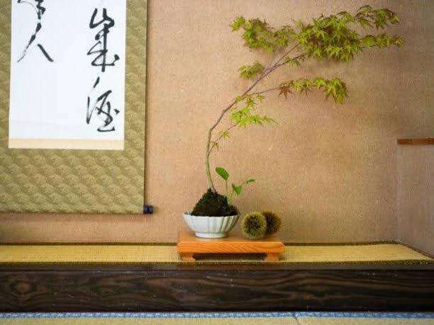 Ryokan Misato Minamioguni Exteriér fotografie